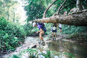 BIB: 
                            <button type="button" onclick="openModal(25434027)" class="btn btn-primary btn-sm float-right btn-popup" data-toggle="modal" data-target=".modal-high-quality">
                        <i class="fas fa-shopping-cart"></i> Add to Cart
                    </button>
                                            <button type="button" onclick="isThisMe(25434027, true)" class="btn btn-success btn-sm float-right btn-popup btn-isme hidden" data-toggle="tooltip" data-placement="bottom" title="นี่คือรูปของคุณใช่ไหม คลิกที่นี่เพื่อเอาเข้าอัลบั้ม">
                        <i class="fas fa-plus"></i> Add to album
                    </button>
                    <button type="button" onclick="isThisMe(25434027, false)" class="btn btn-warning btn-sm float-right btn-popup btn-isnotme hidden">
                        <i class="fas fa-ban"></i> Remove from album
                    </button>